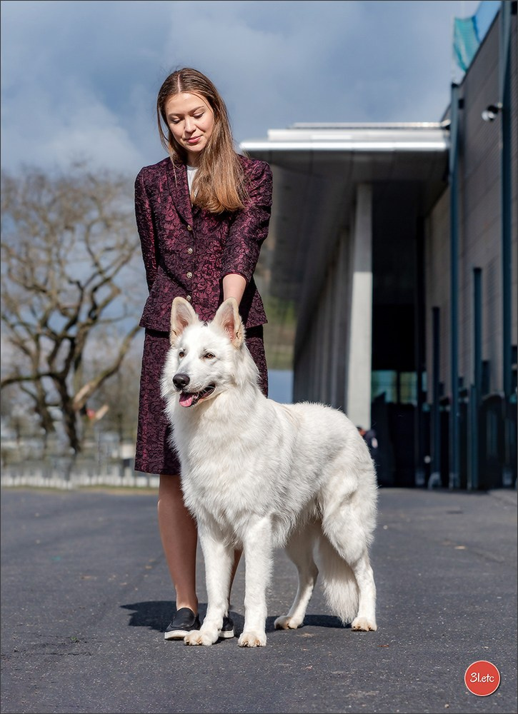 Dog Show Offenbourg  🇩🇪  14-15/03/2026. Photographe à Strasbourg | Portraits, Studio, Enfants, Événements