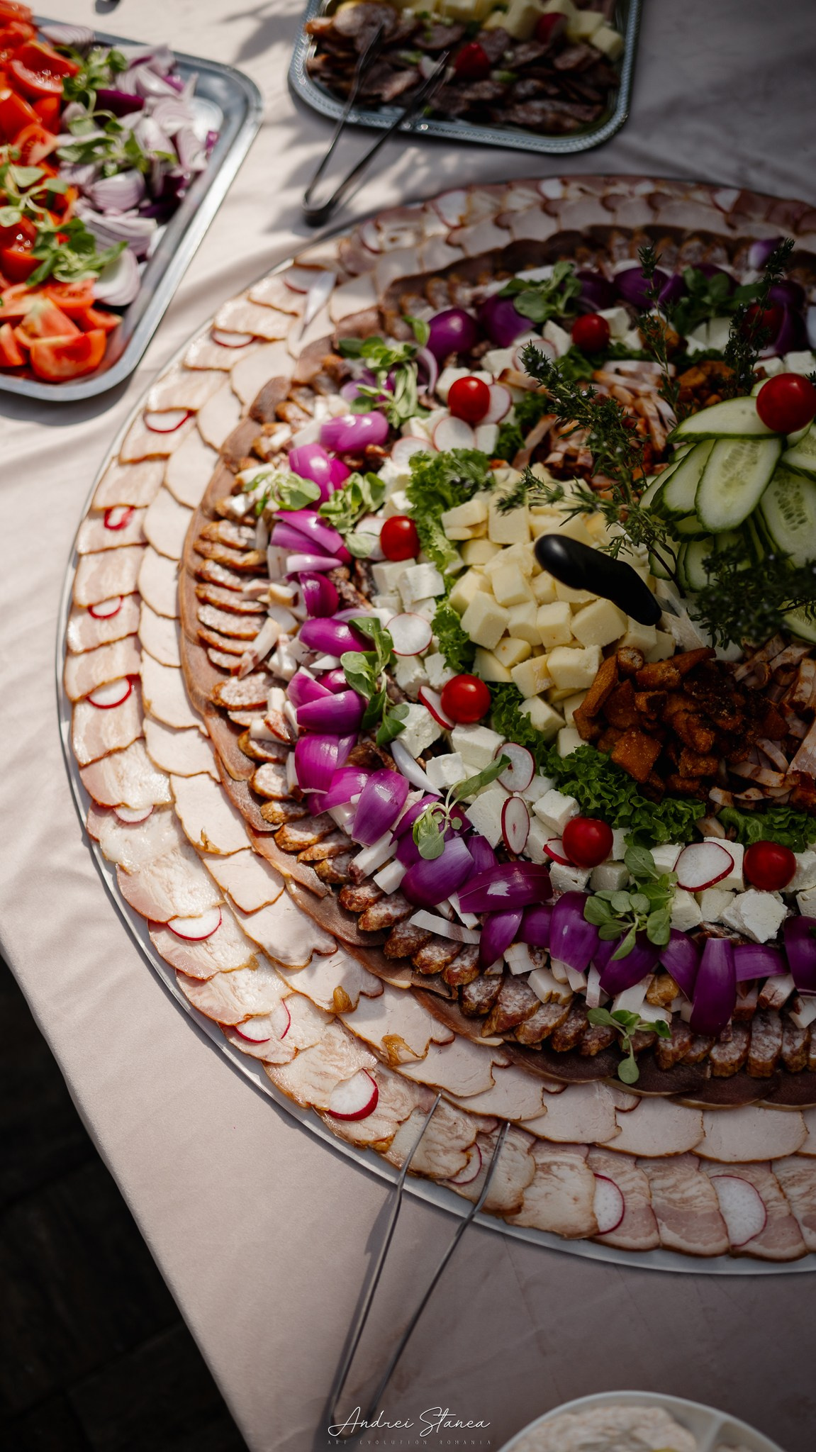 Claudia & Mircea. Andrei Stanea