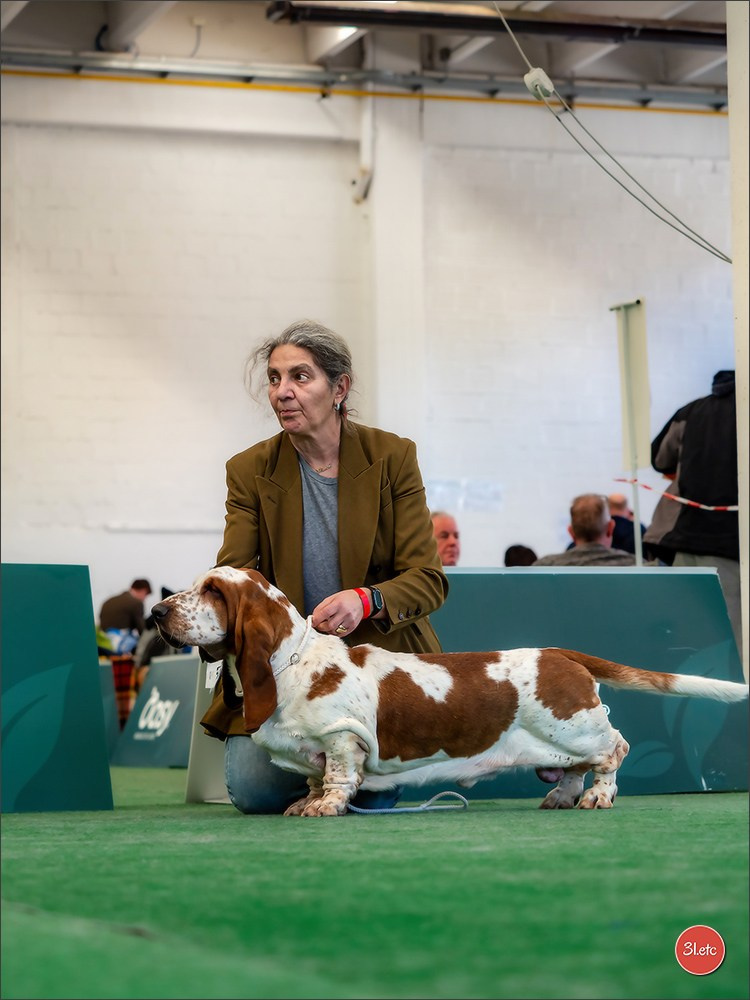 Dog Show  🇮🇹  San Marino. Photographe à Strasbourg | Portraits, Studio, Enfants, Événements