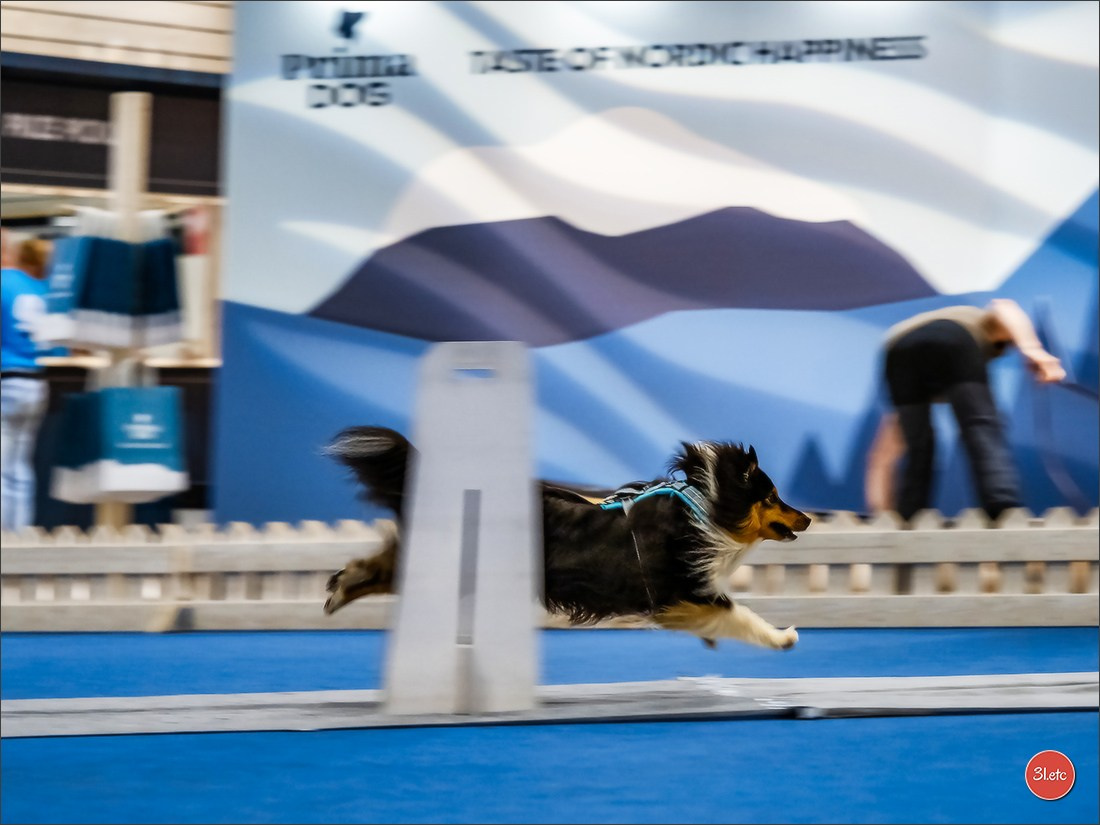 🇫🇮 WDS Helsinki 2025 🇫🇮. Photographe à Strasbourg | Portraits, Studio, Enfants, Événements