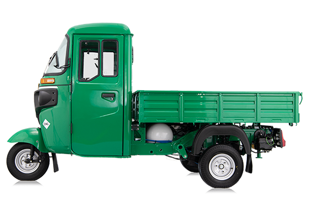 Automobile. Mohit Holani | Director