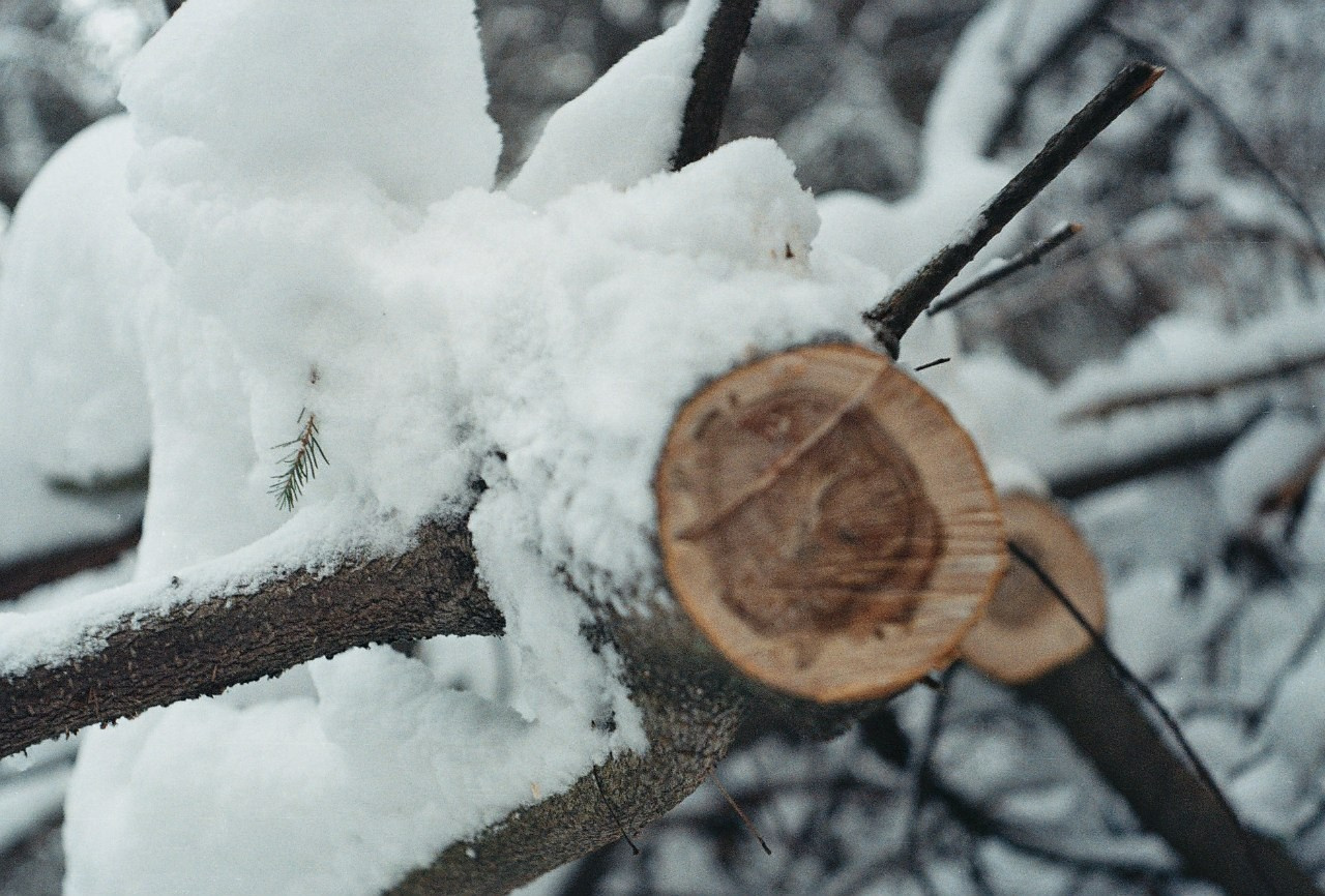 Ochyor (Perm region, Russia) 2013. Elena Zykova film photographer in London