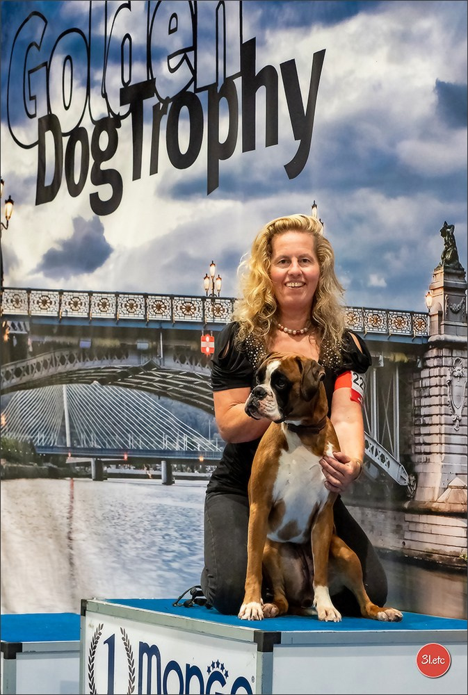 Dog Show Liege 🇧🇪 19-29/07/2025. Photographe à Strasbourg | Portraits, Studio, Enfants, Événements