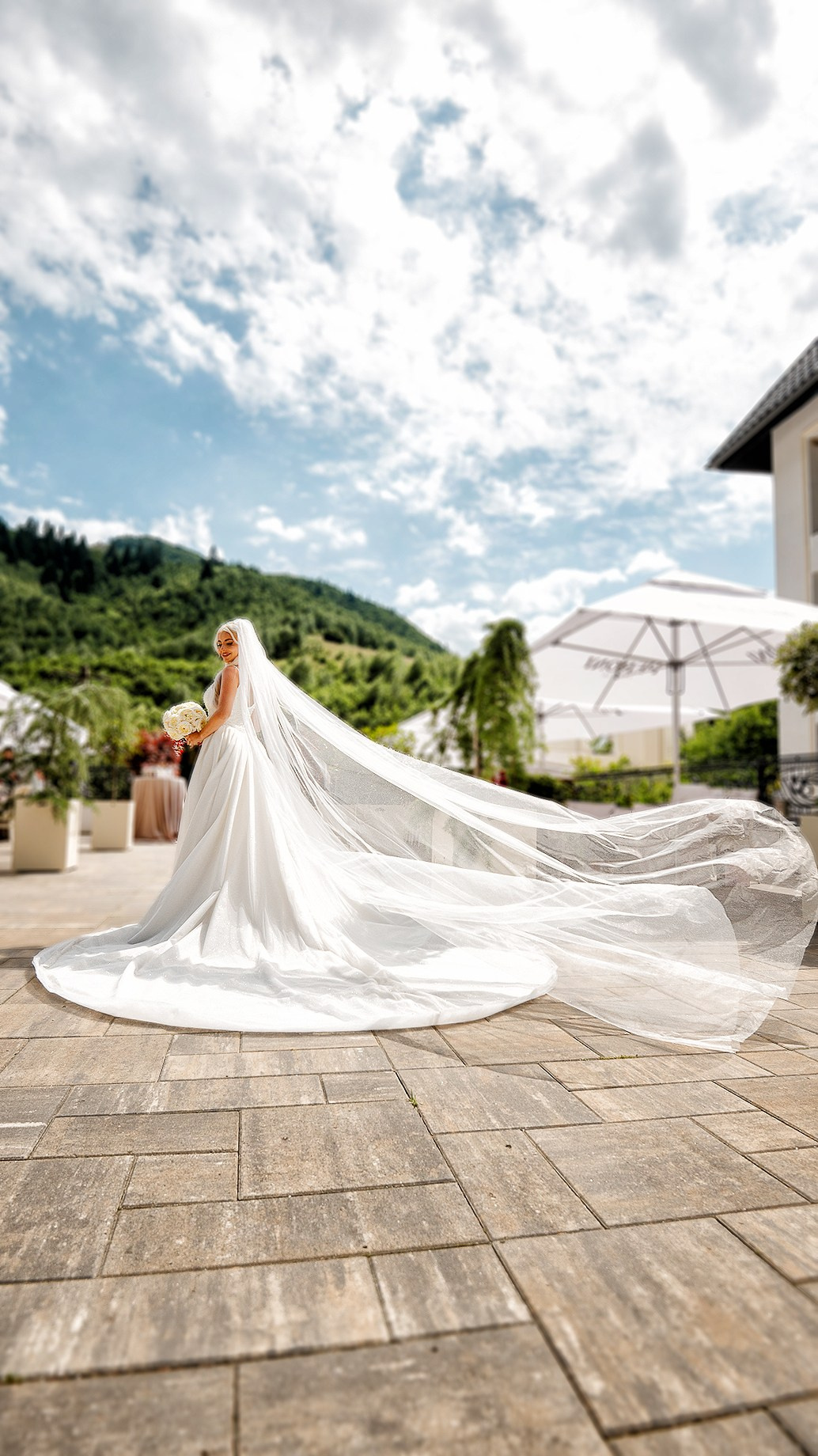 Portofolio. Andrei Stanea