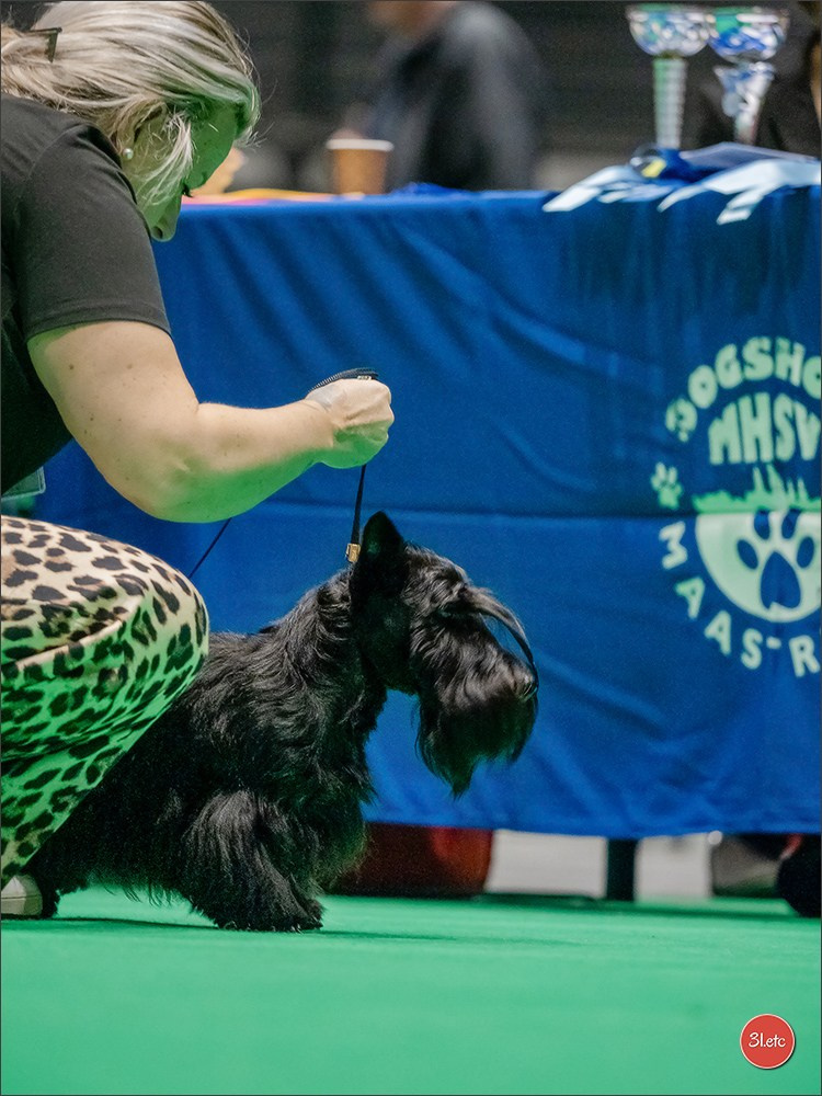 🇳🇱 IDS Maastricht 27/28 Sept 2025 🇳🇱. Photographe à Strasbourg | Portraits, Studio, Enfants, Événements