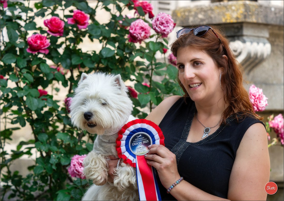 Championnat de France du chien de race  🇫🇷  DIJON (château de Brognon) 7-8/06/2025. Photographe à Strasbourg | Portraits, Studio, Enfants, Événements