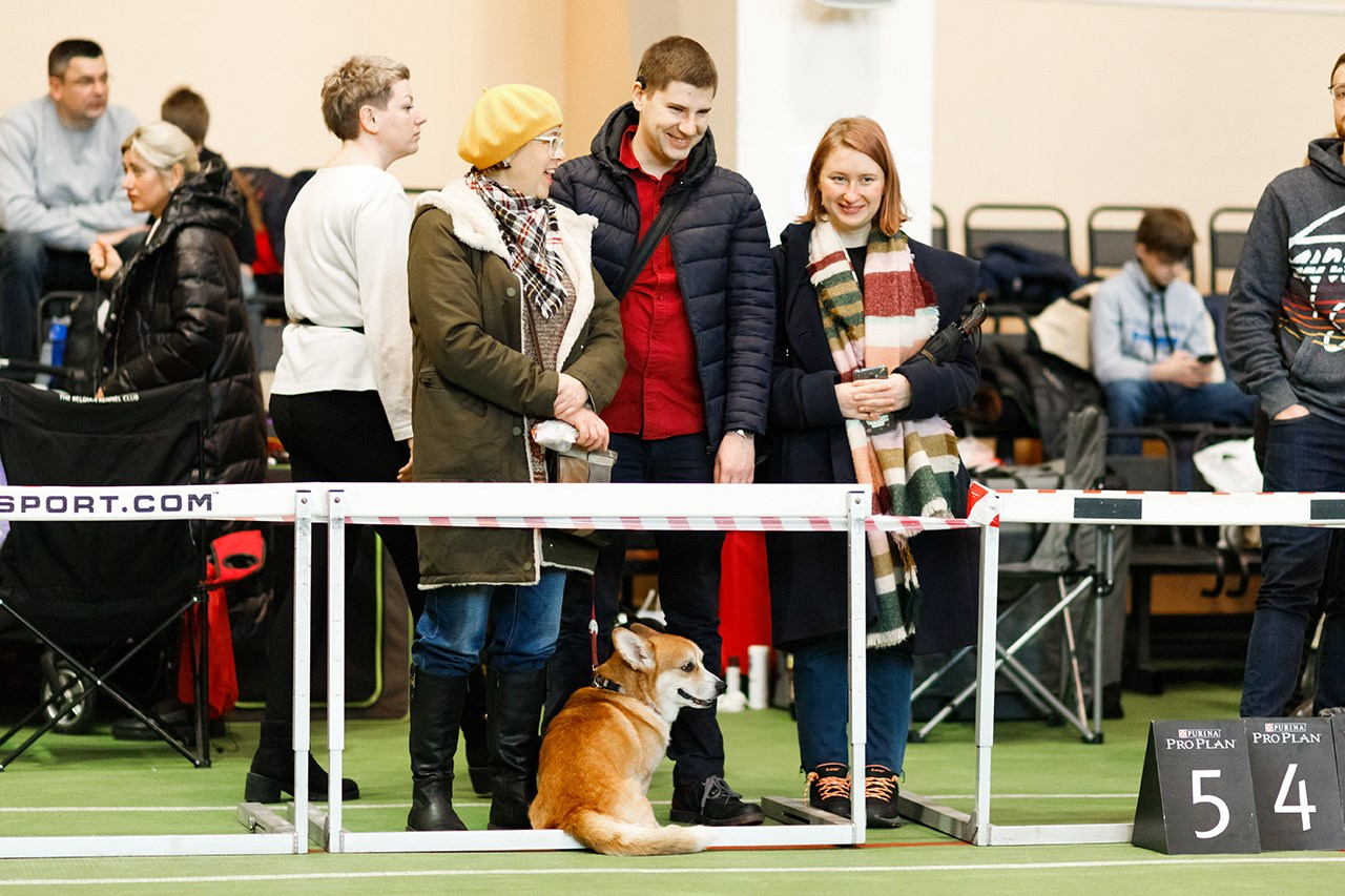 Grodno dog show. Kaja | fotograf we Wrocławiu | ludzie i psy