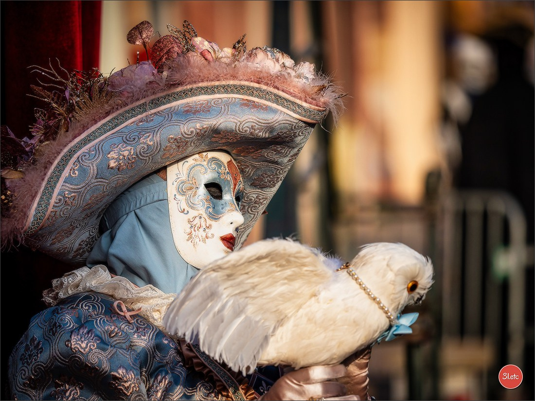 Carnaval vénitien de Rosheim 2026. Photographe à Strasbourg | Portraits, Studio, Enfants, Événements