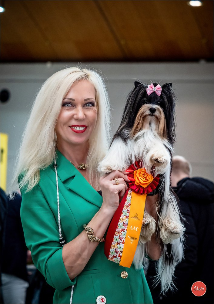 Dog Show Karlsruhe 🇩🇪  29-30/11/2025. Photographe à Strasbourg | Portraits, Studio, Enfants, Événements