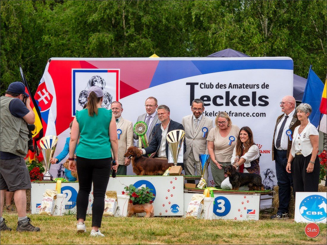 Expo canine (Teckel) Strasbourg Hoerdt  🇫🇷  5-6/07/2025. Photographe à Strasbourg | Portraits, Studio, Enfants, Événements
