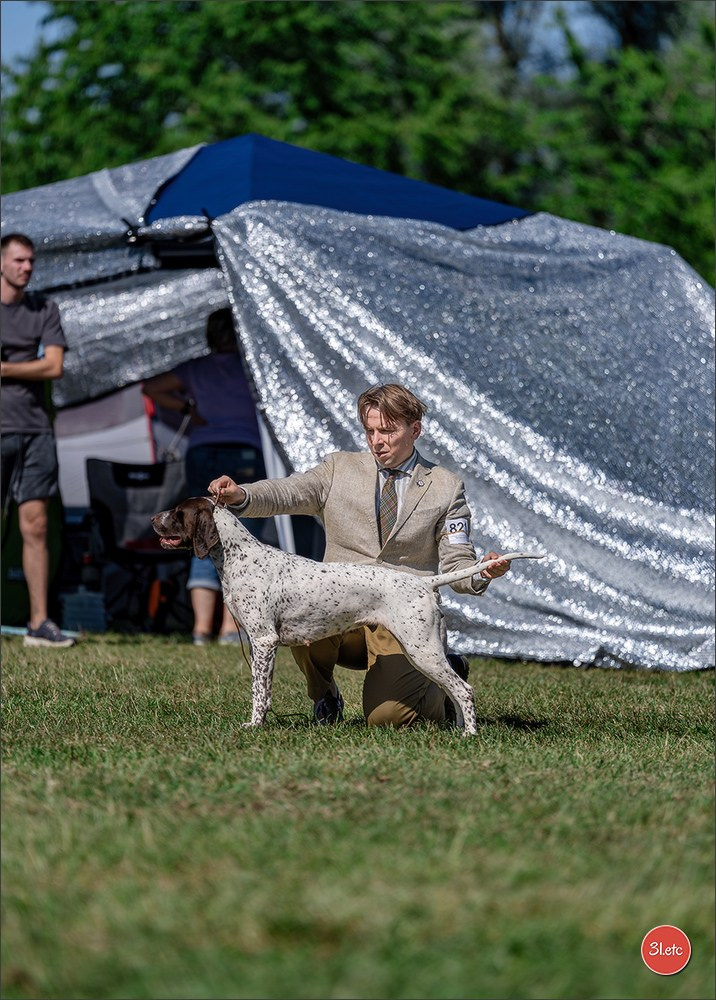 Dog Show - Hallbergmoos 🇩🇪 11-12/07/2026