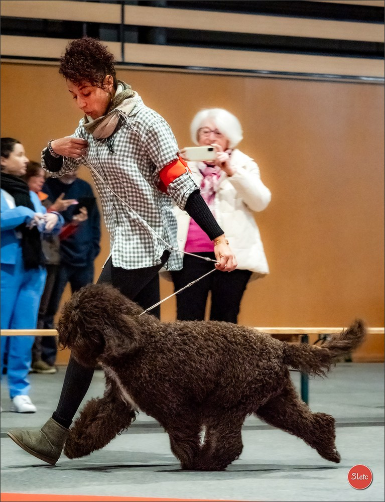 Expo canine 🇫🇷 Angers 22-23/03/2025. Photographe à Strasbourg | Portraits, Studio, Enfants, Événements