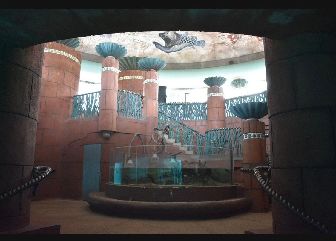 Lens Work From The Field 7