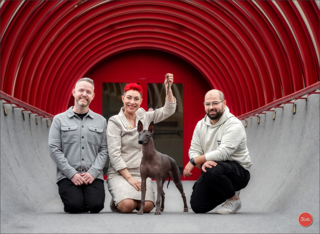 13-14.12.2025   🇧🇪   Brussels Dog Show. Photographe à Strasbourg | Portraits, Studio, Enfants, Événements