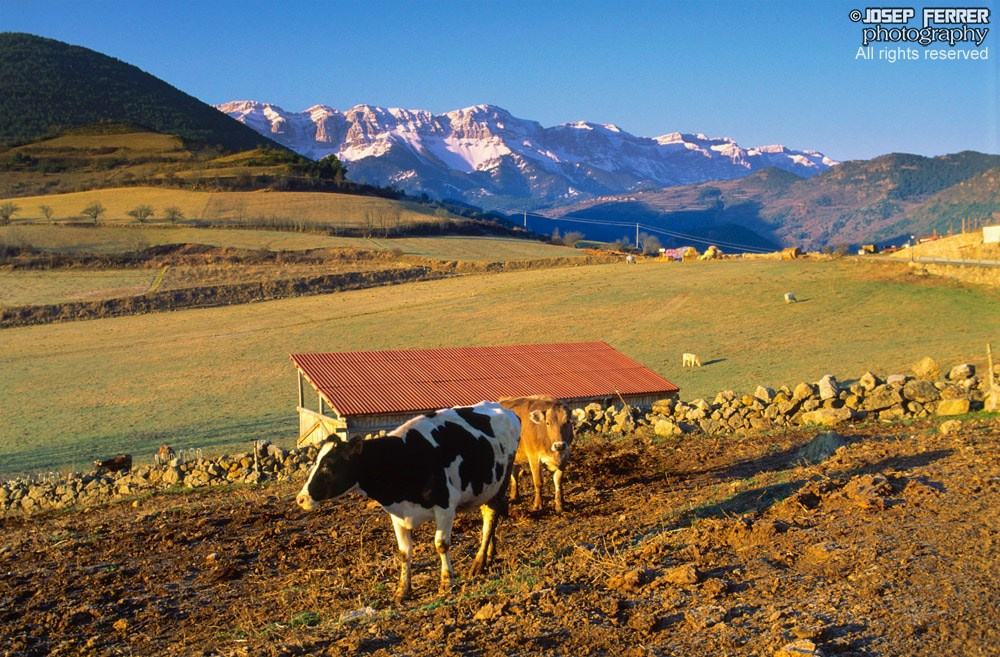 La Cerdanya, Pyrenees, Catalunya