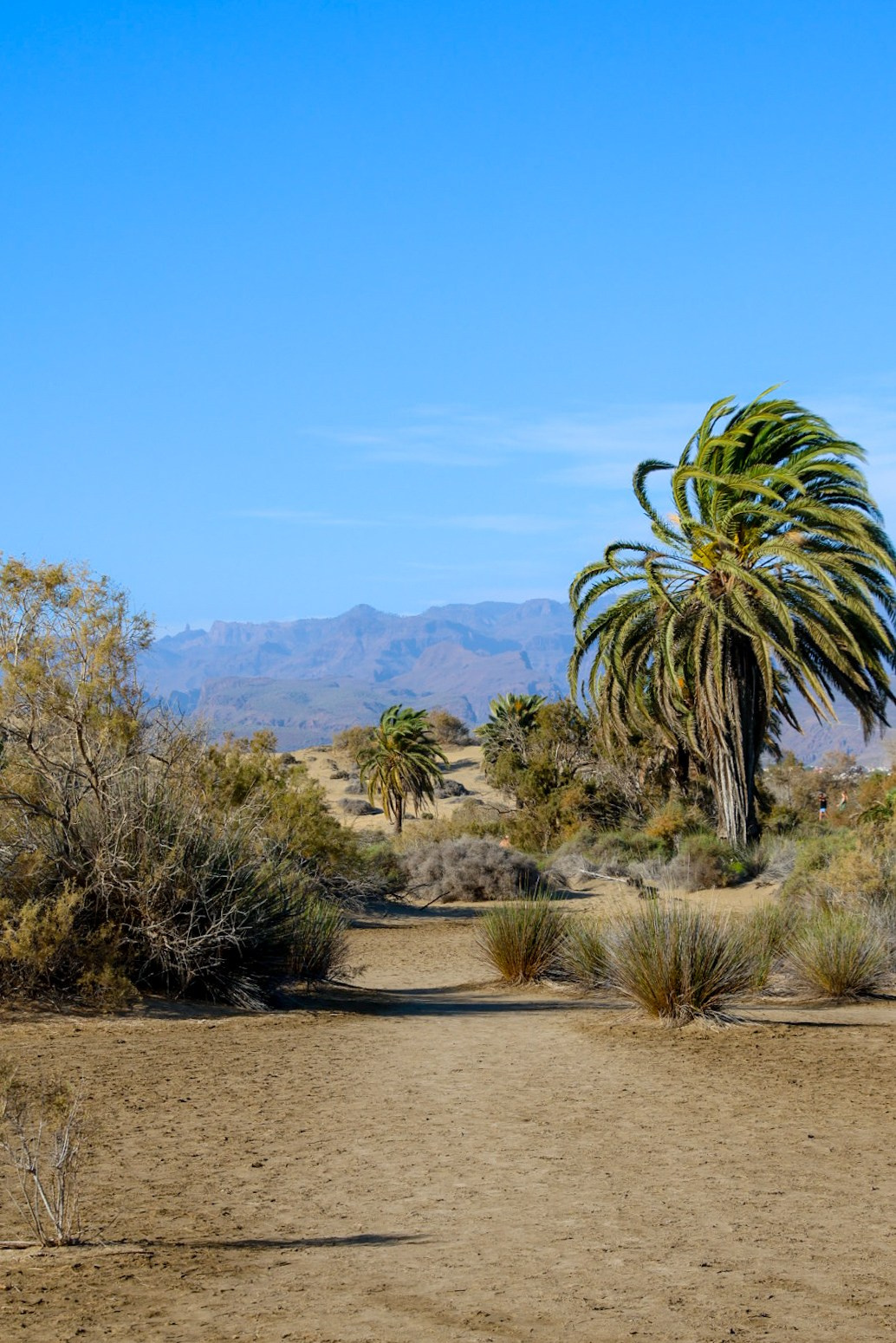 Gran Canaria 2024. Марина фотограф из Нюрнберга