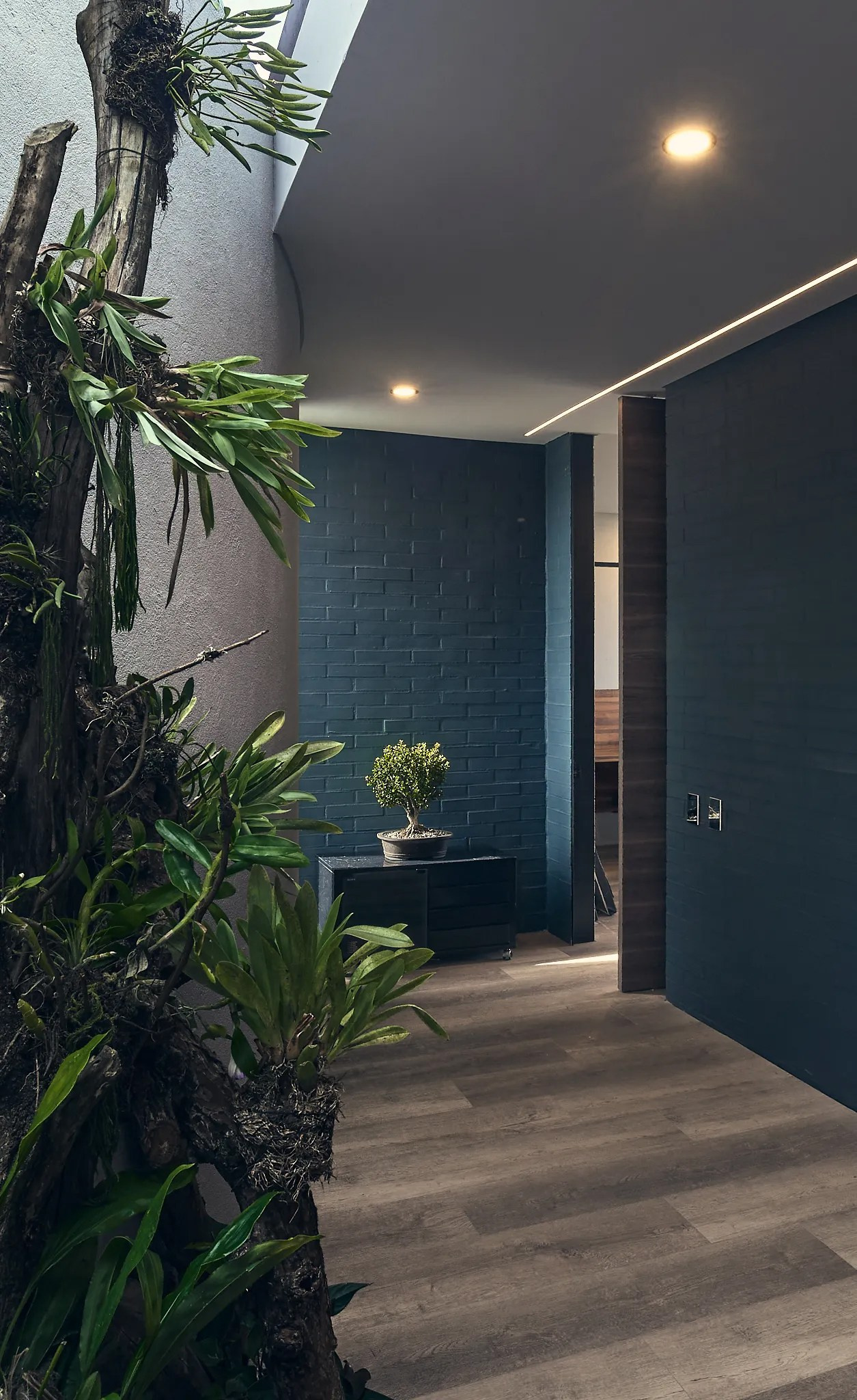 Sesión fotográfica arquitectónica e interiorismo Casa Komorebi