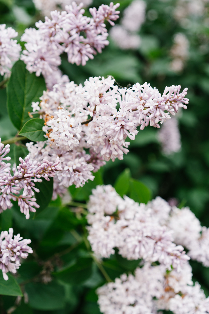 Family photo session in Munich park. Inna Zaytseva Photography | Photographer in Munich | Content Creation