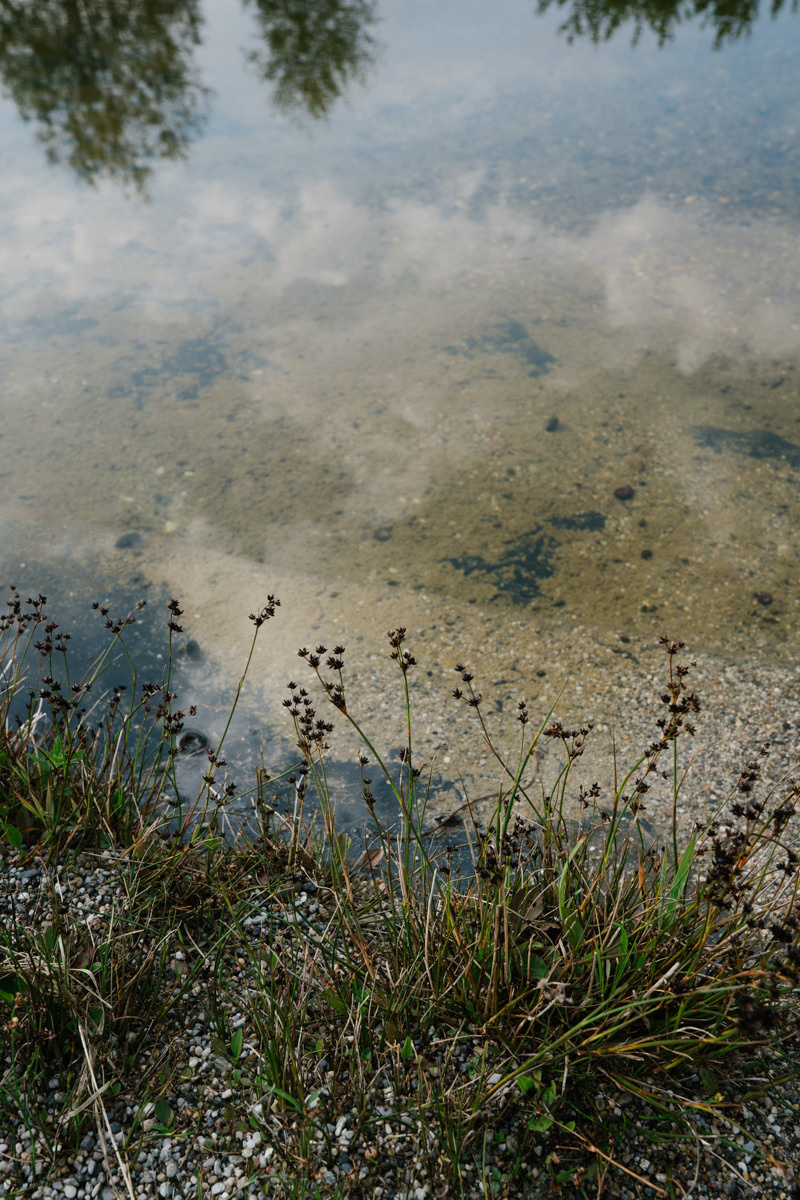 Wedding photographer Munich, with natural, no posing photography style. Inna Zaytseva Photography | Photographer in Munich | Content Creation