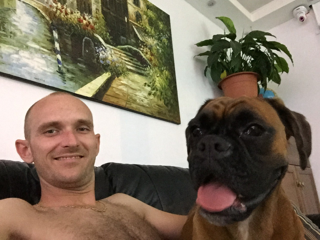 My ״Star״ Boxer Dog