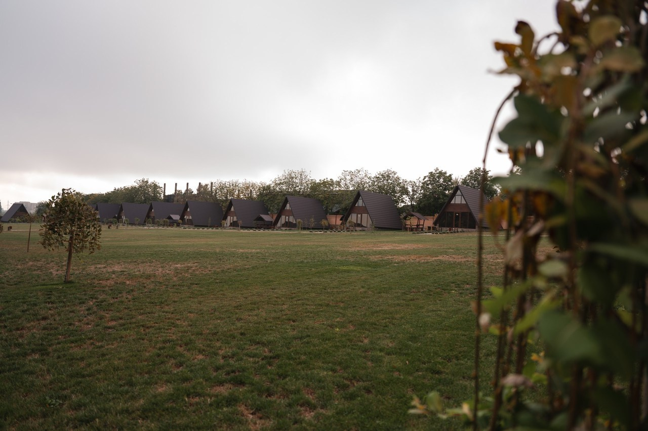 Recenzie. Www.stayscolor.md