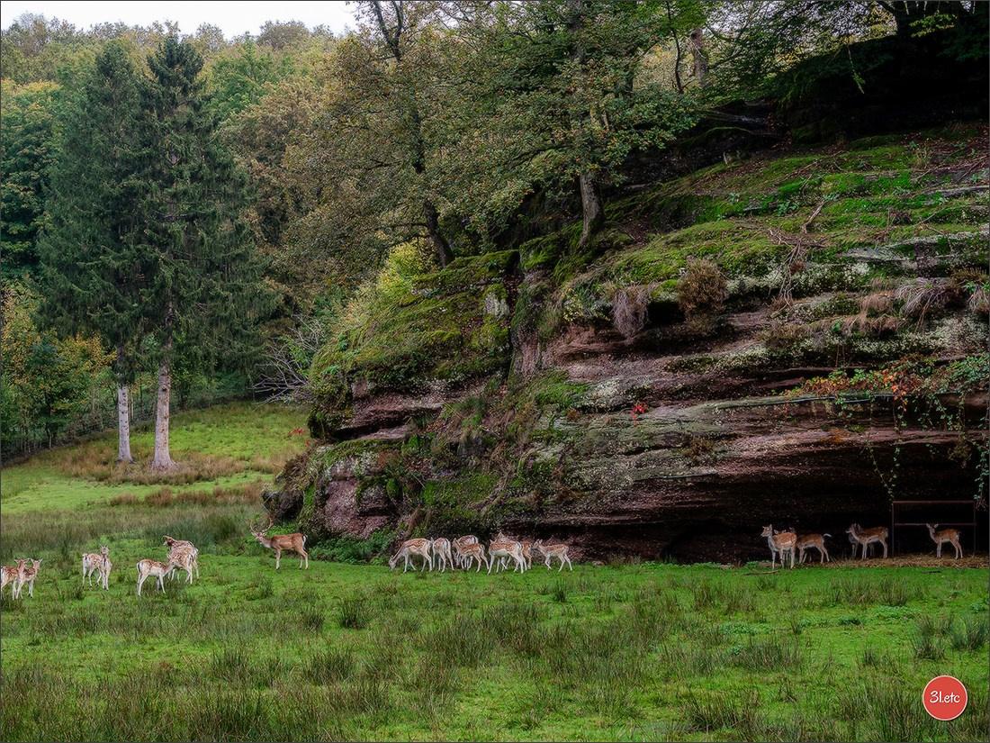 Ретрит в Эльзасе с Марией Ланг. Photographe à Strasbourg | Portraits, Studio, Enfants, Événements