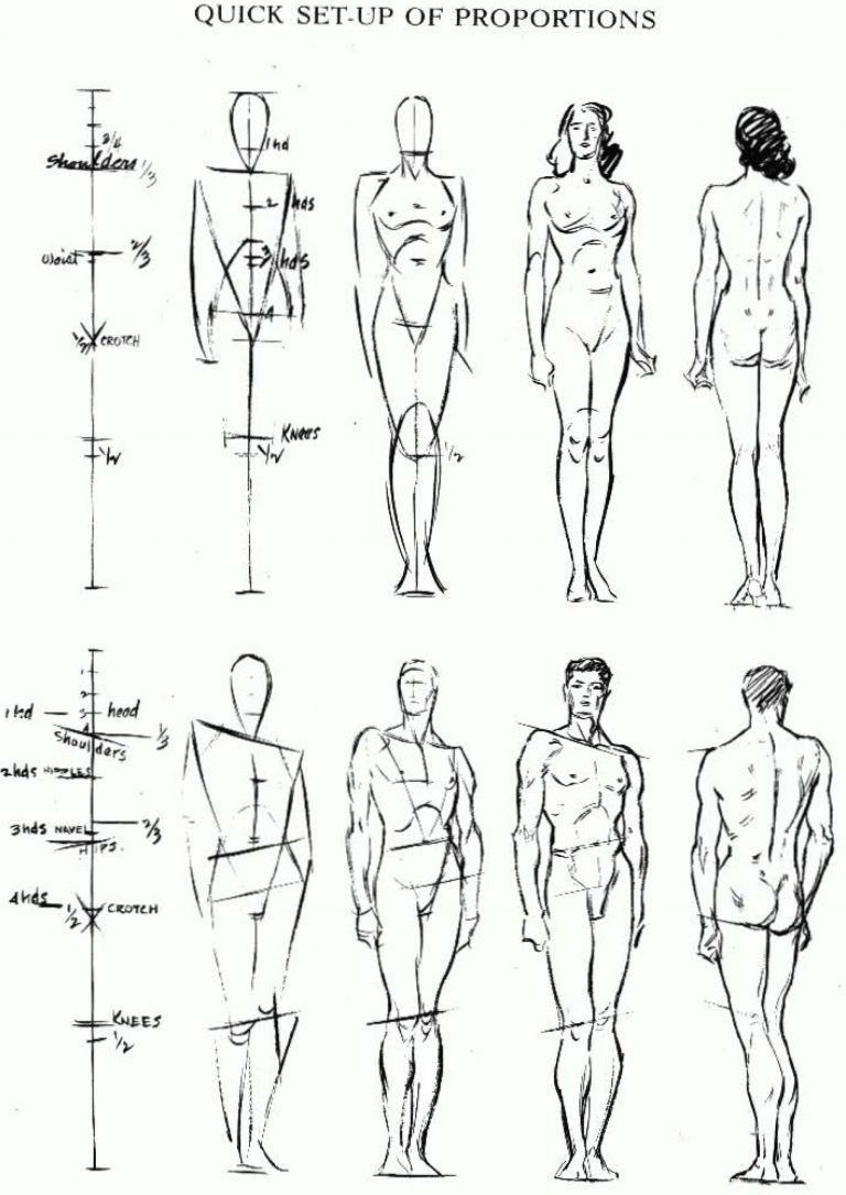 Базовый курс рисунка «Научу рисовать и думать как художник». Школа современного искусства Лени Сморагдовой