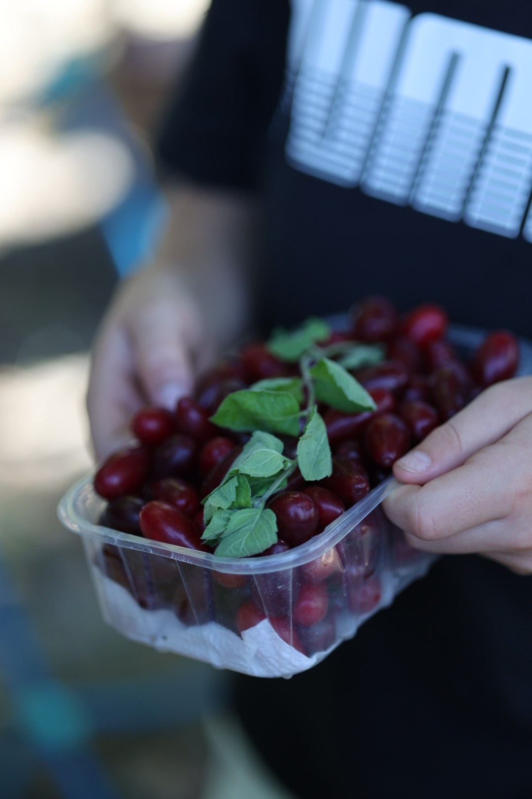 Ярмарка Острів Водників. Wedding and family photographer