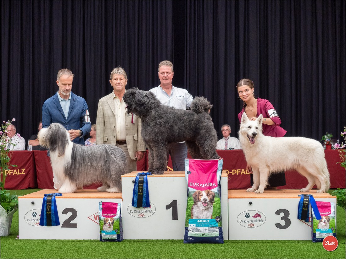 Dog Show Ludwigshafen  🇩🇪  16-17/08/2025. Photographe à Strasbourg | Portraits, Studio, Enfants, Événements