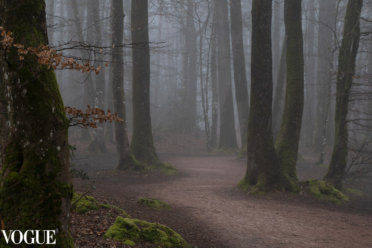 VOGUE. Portrais créatifs de familles et individuels, Ile et Vilaine, France