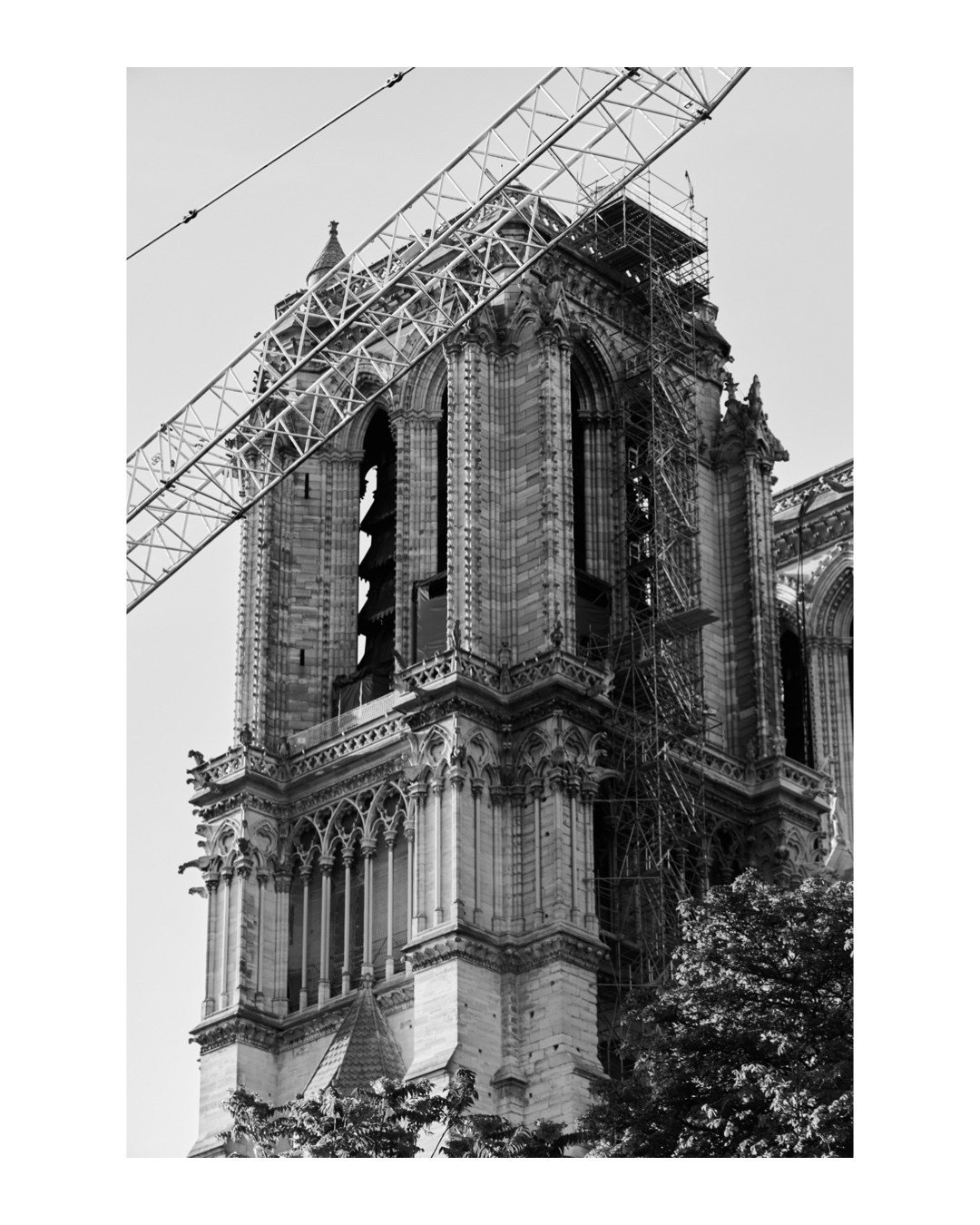 Art prints. Anka Fateeva Website