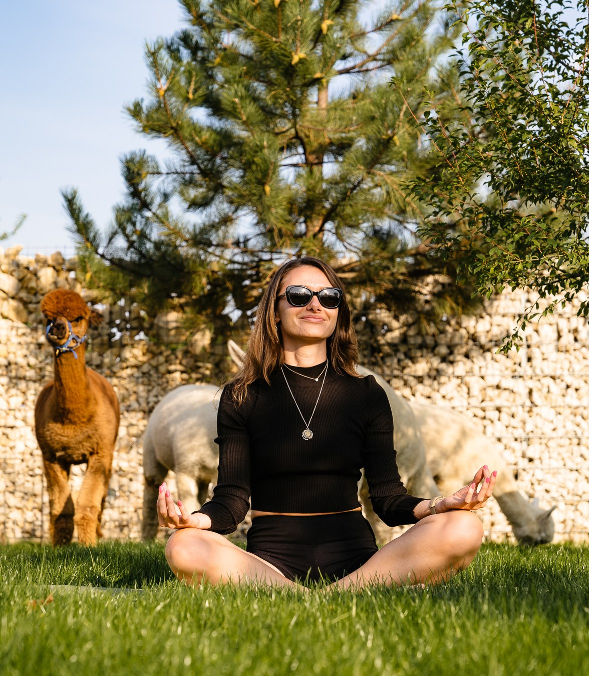 Openings & Brand Activation | Fotografie PR. Fotograf Corporate Business