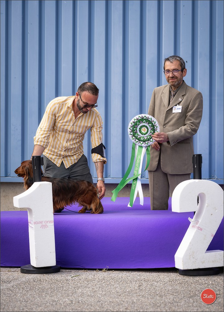 Expo canine 🇫🇷 Valence 02-03/05/2026
