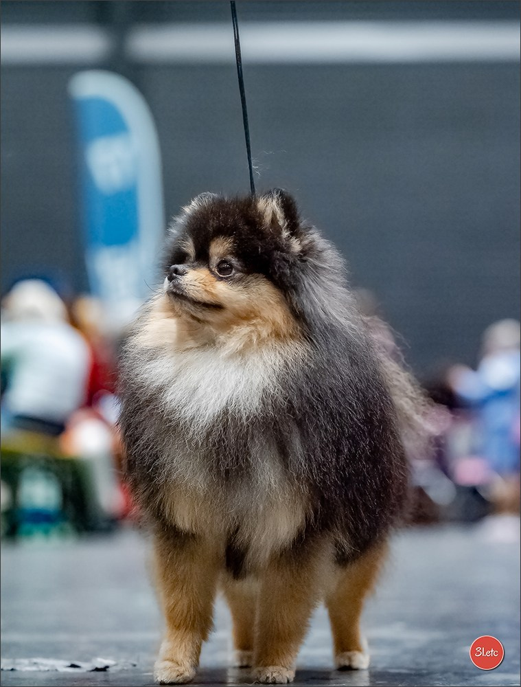 🇳🇱 IDS Maastricht 27/28 Sept 2025 🇳🇱. Photographe à Strasbourg | Portraits, Studio, Enfants, Événements