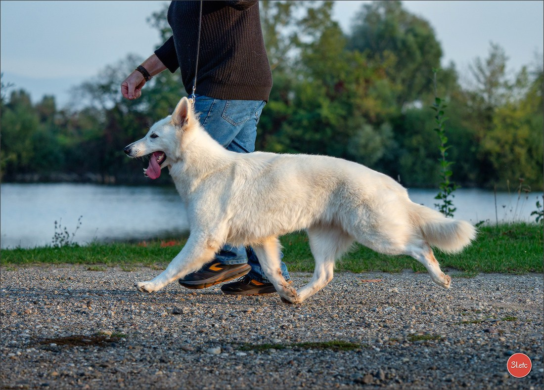 Domaine de la patte blanche. Photographe à Strasbourg | Portraits, Studio, Enfants, Événements