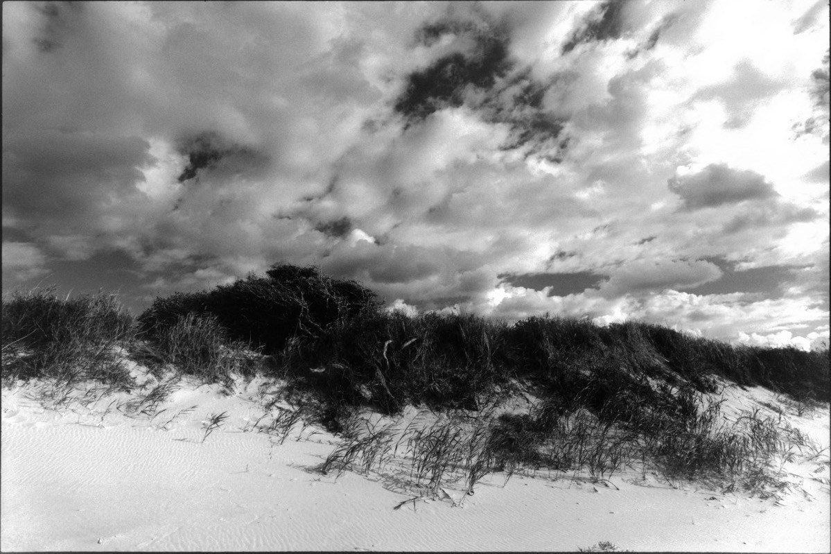 Sacra Natura. Katerina Kiper Photography