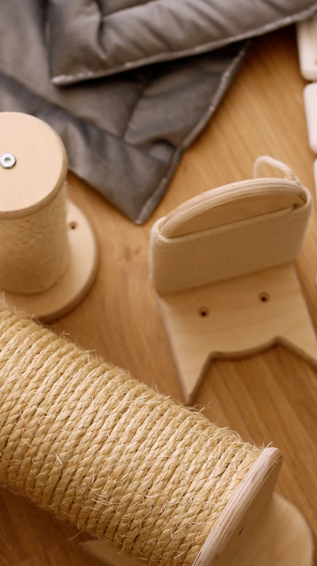 Mr Cat Home. Ellstudio film production