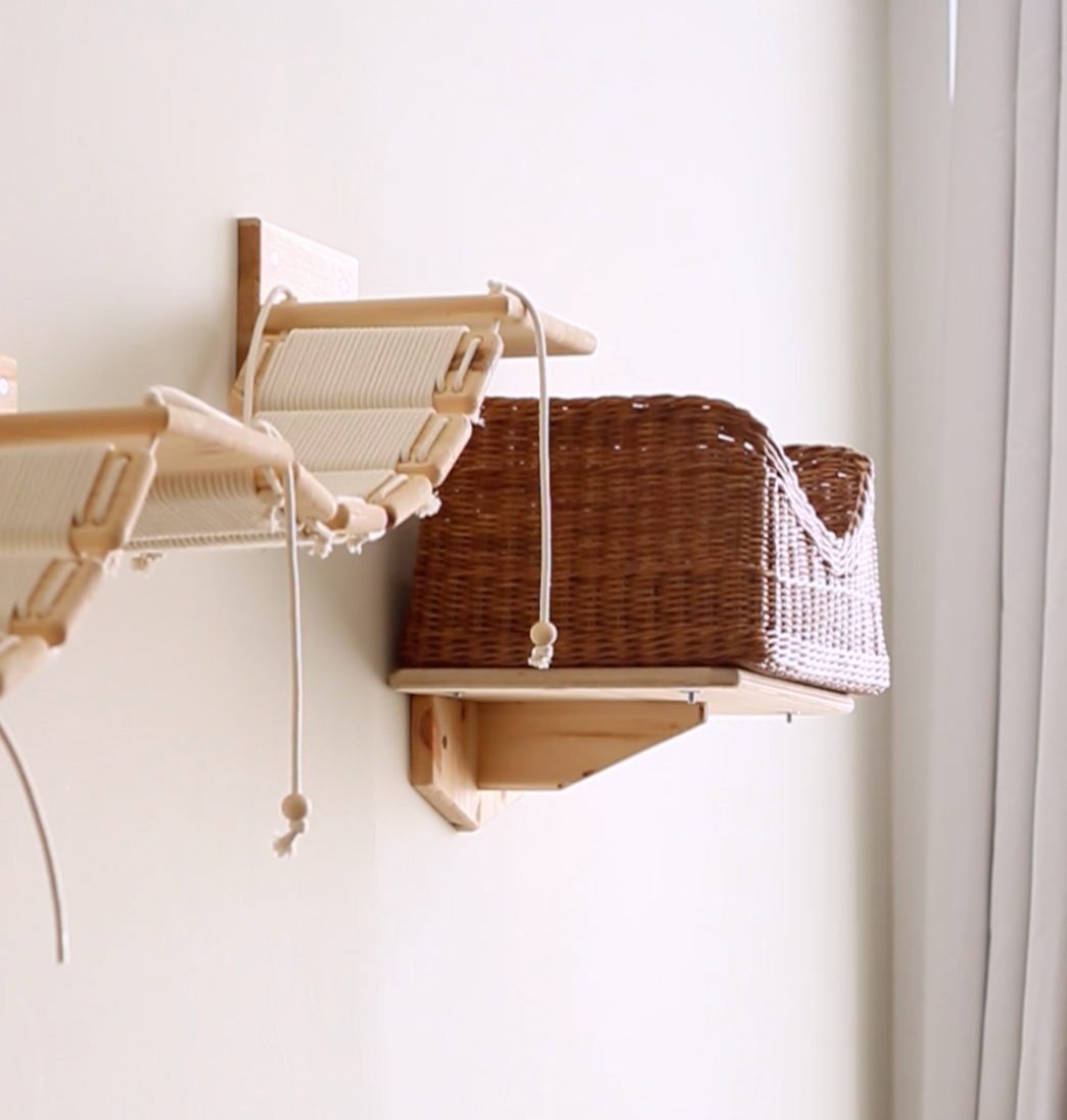 Mr Cat Home. Ellstudio film production