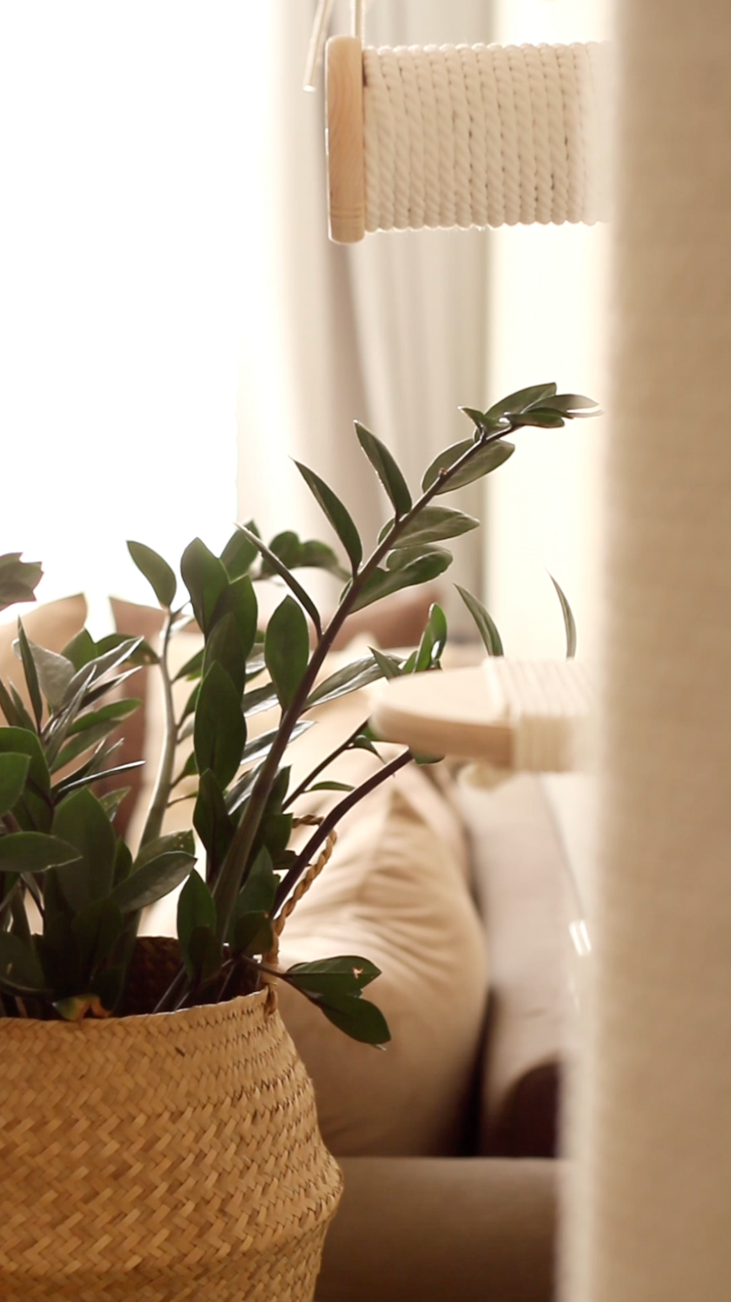 Mr Cat Home. Ellstudio film production