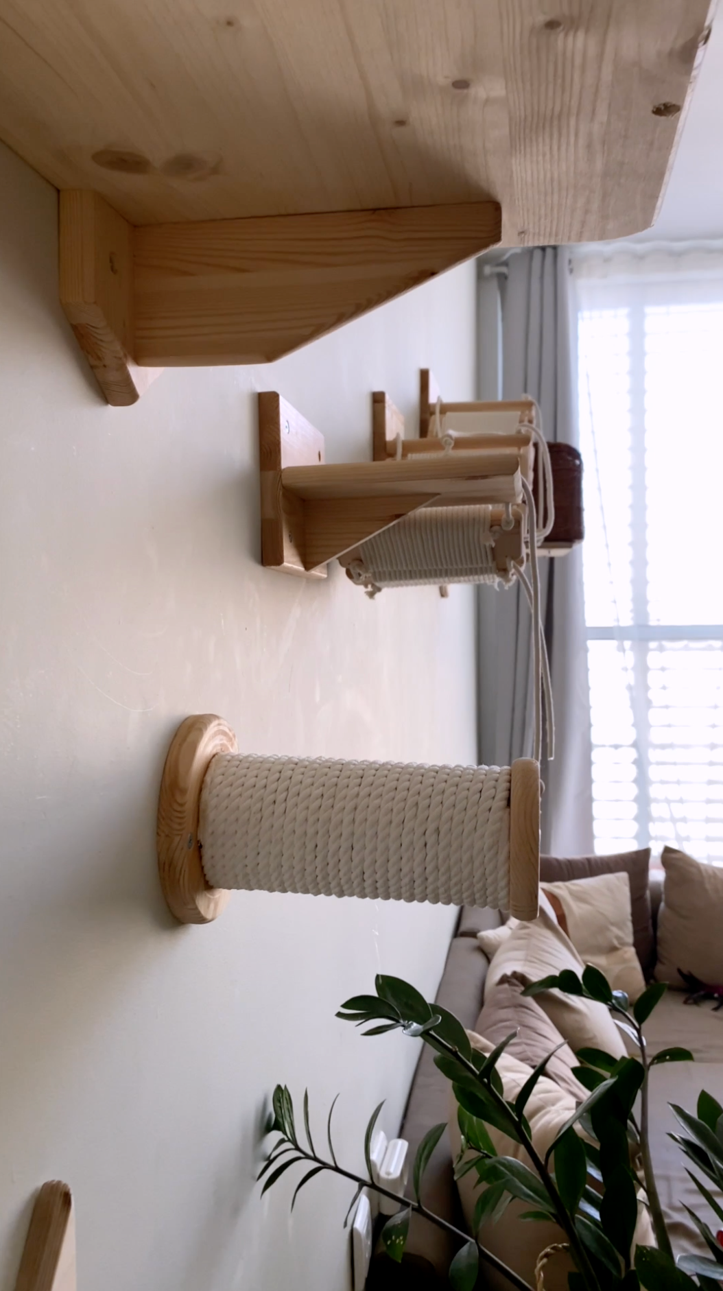 Mr Cat Home. Ellstudio film production