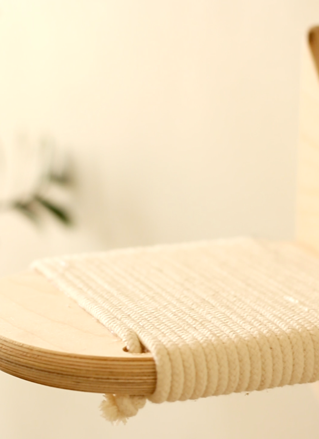 Mr Cat Home. Ellstudio film production