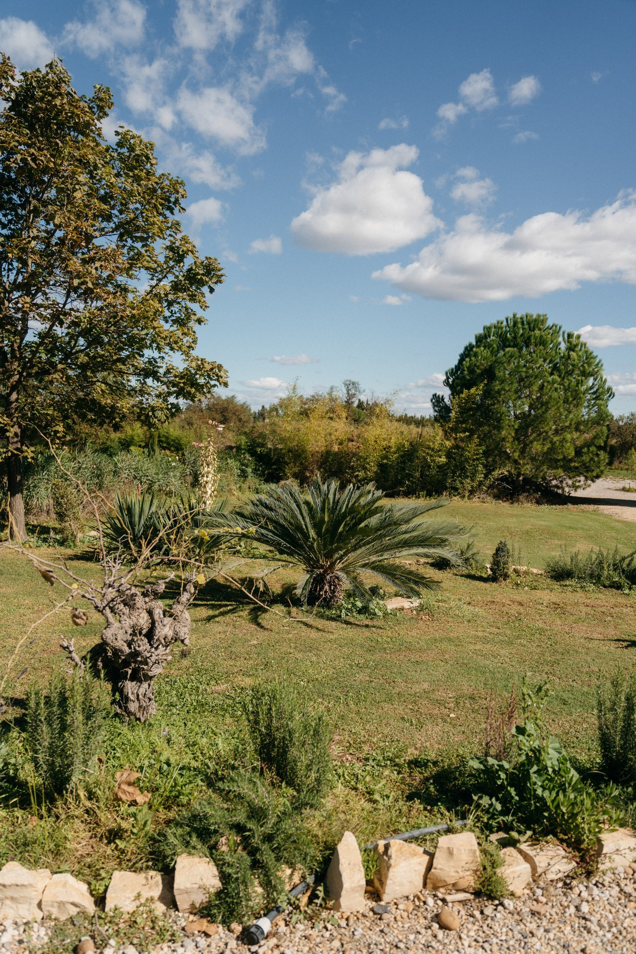 Provence & Promises. Свадебный и семейный фотограф Алексей Попов. Штутгарт, Германия