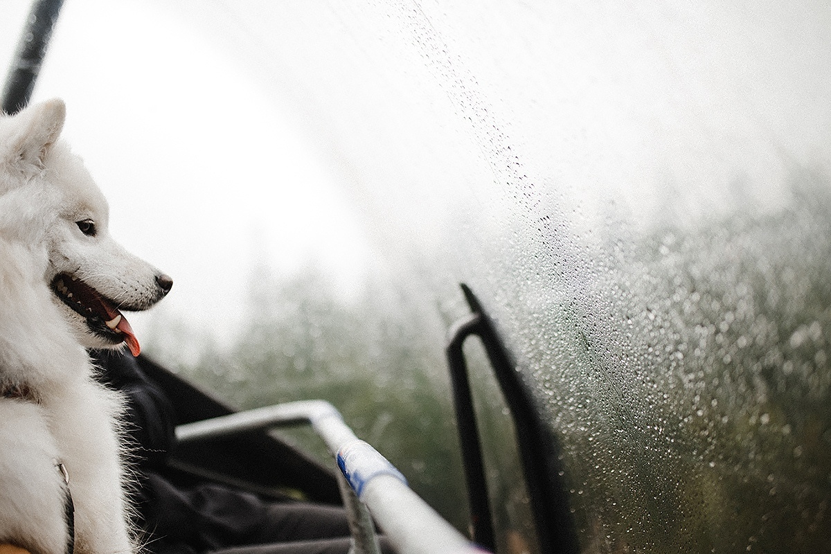 Utah х 13. Wedding Photographer Tel-Aviv