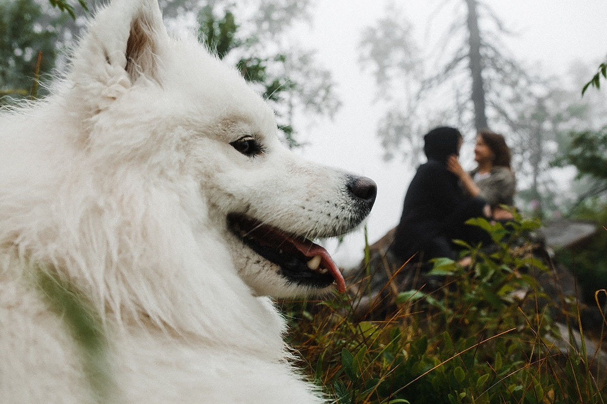Utah х 13. Wedding Photographer Tel-Aviv