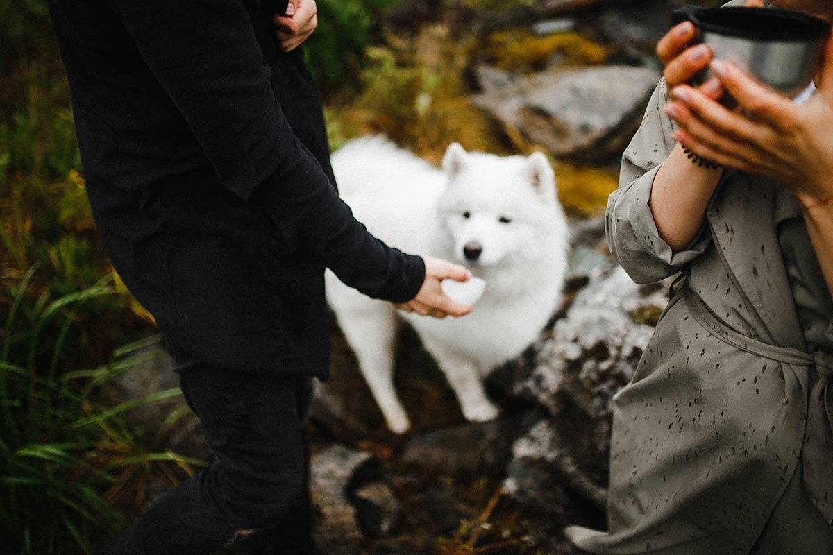 Utah х 13. Wedding Photographer Tel-Aviv