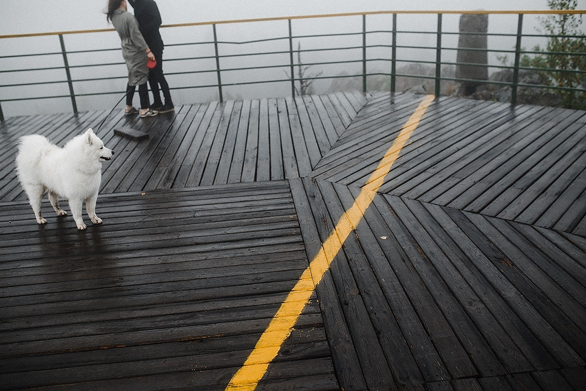 Utah х 13. Wedding Photographer Tel-Aviv