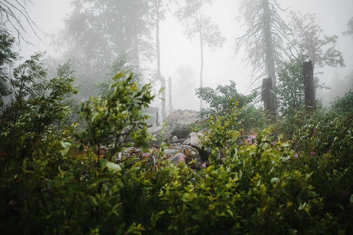 Utah х 13. Wedding Photographer Tel-Aviv