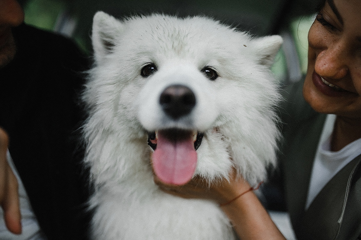 Utah х 13. Wedding Photographer Tel-Aviv