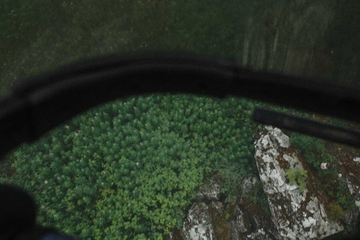 Utah х 13. Wedding Photographer Tel-Aviv