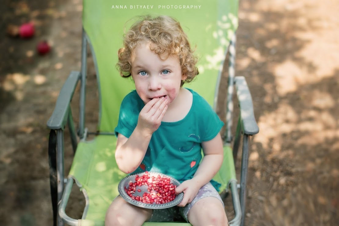 אלבום רימון אדום. אנה ביטייב, צלמת, שוהם, Anna Bityaev Photography